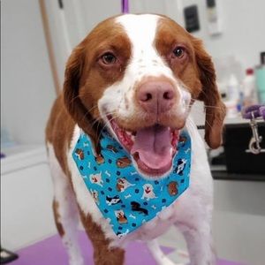 Meet your Posher, Molly